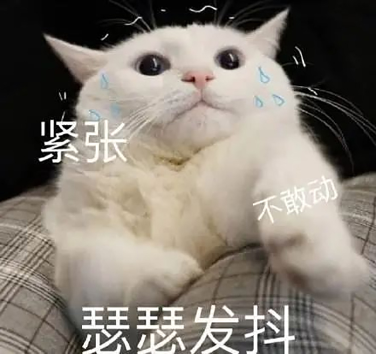 紧张，害怕